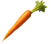 Carrot